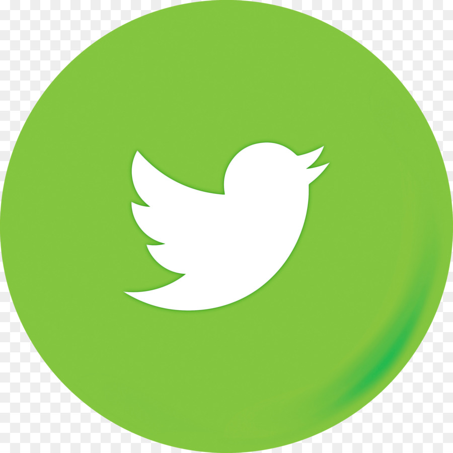 Logotipo Do Twitter，Pássaro PNG