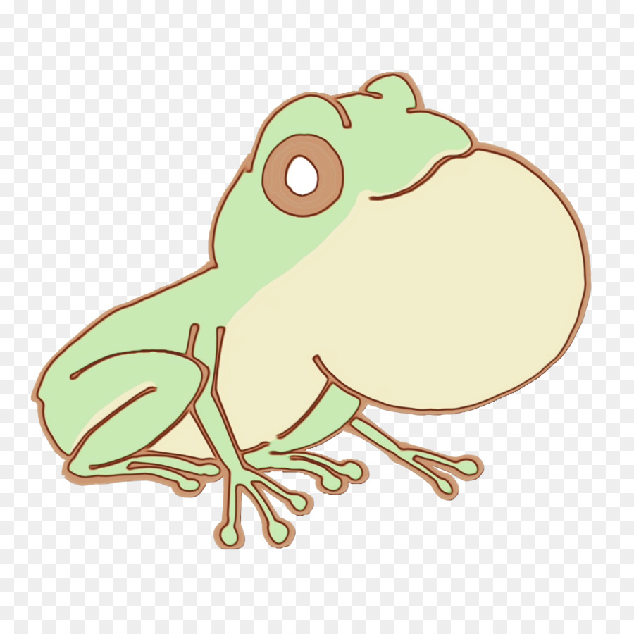 Toad，Verdadeiro Sapo PNG