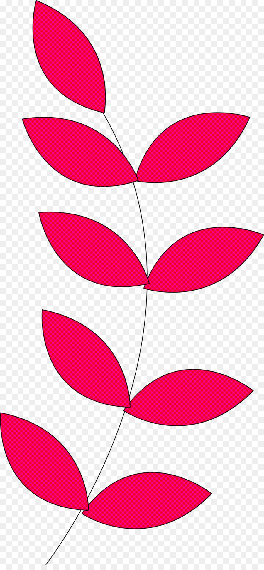 Planta Rosa，Folha PNG