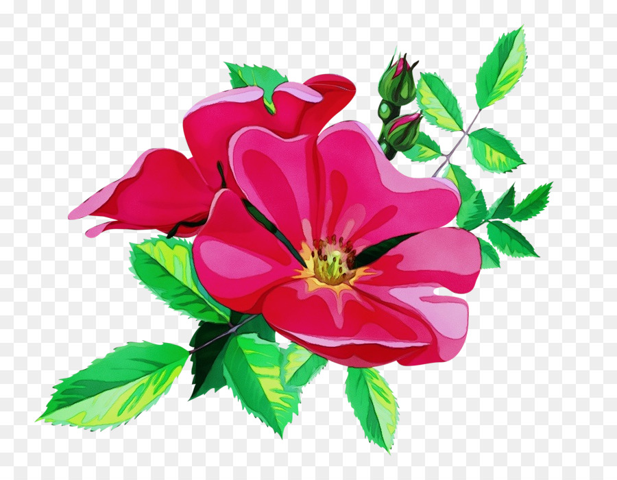 As Rosas Do Jardim，Flores De Corte PNG