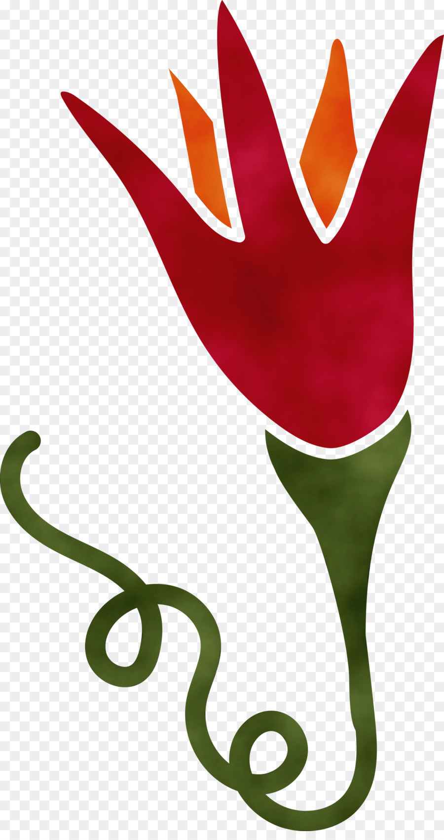 Flor，Florescer PNG