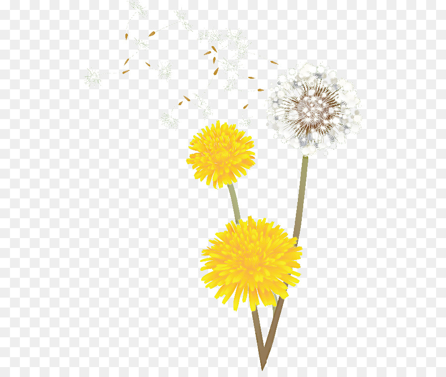 Flores De Corte，Amarelo PNG