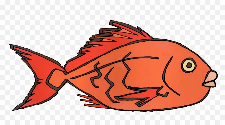 Cartoon，Peixe PNG