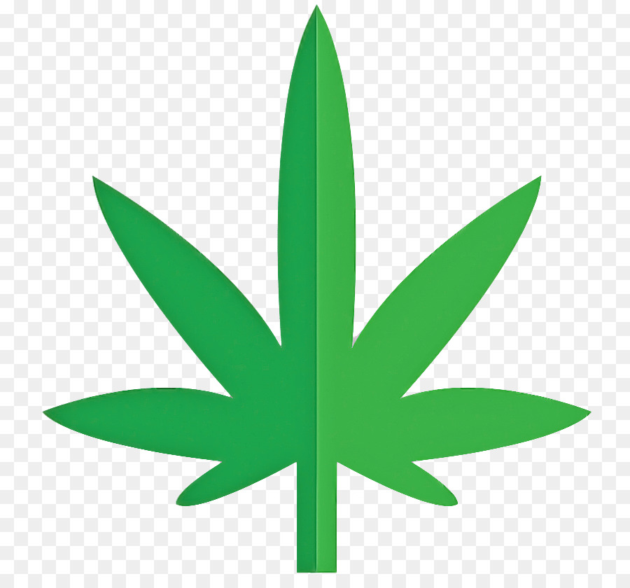 Cannabis Medicinal，O Cânhamo PNG