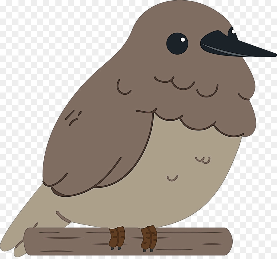 Corujas，Aves PNG