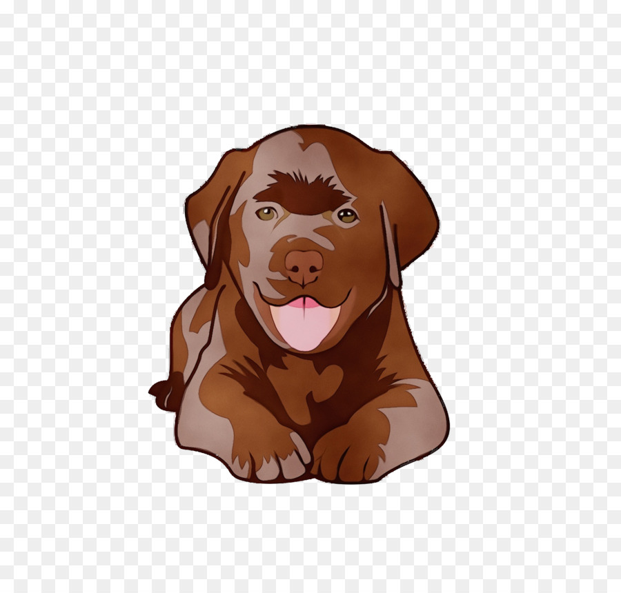 Vizsla，Labrador Retriever PNG