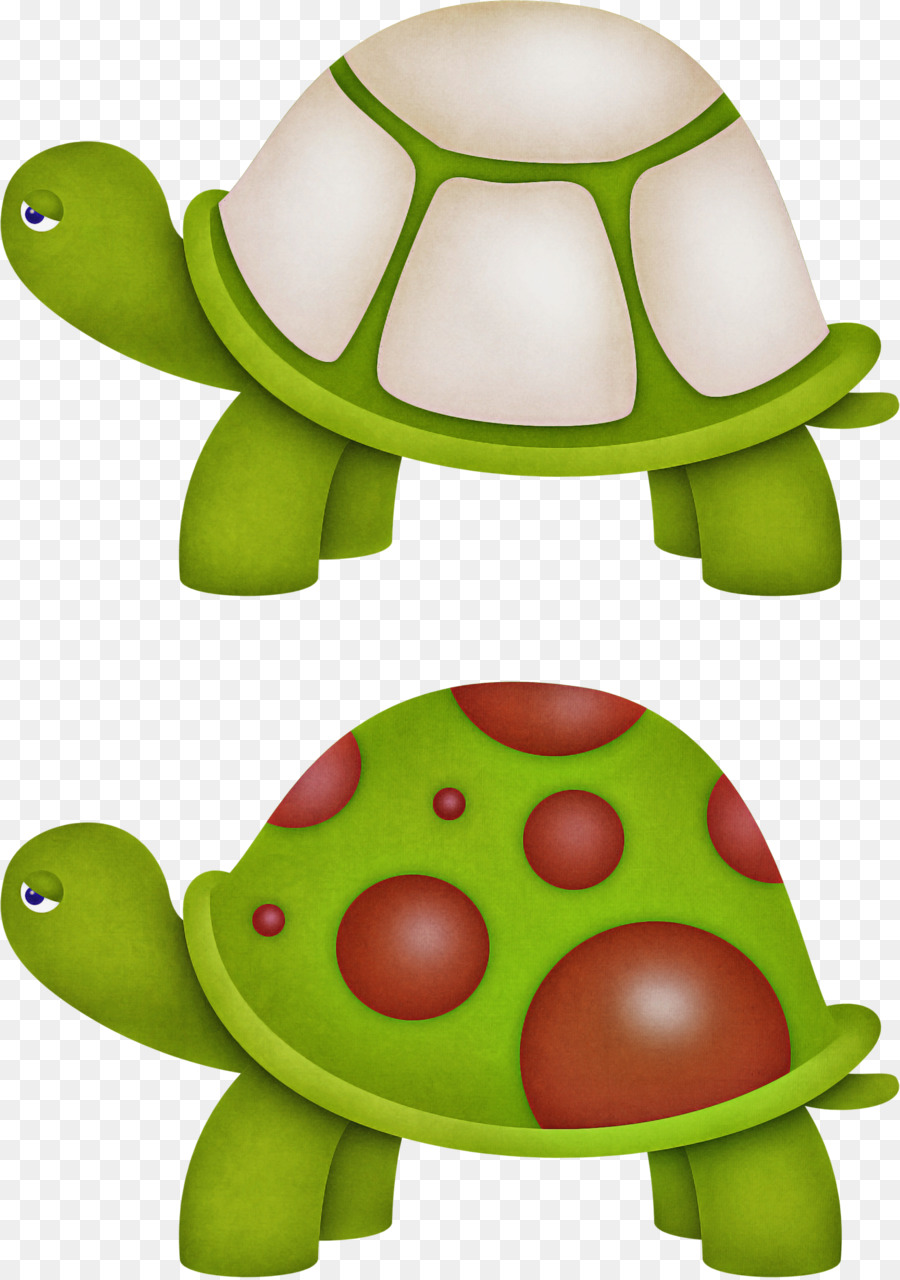 Tartaruga，Tartarugas PNG