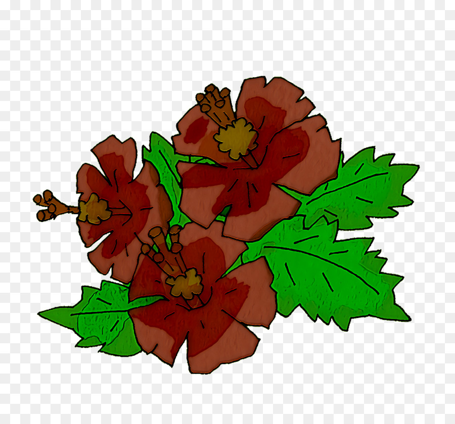 Design Floral，Folha PNG