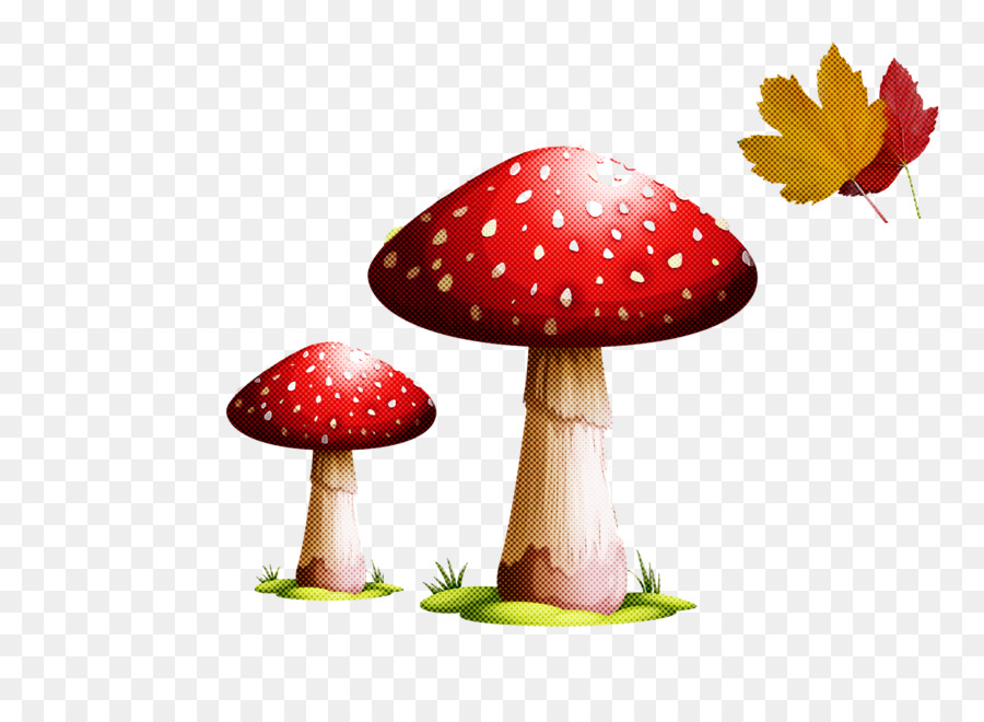 Cogumelos Vermelhos，Fungos PNG