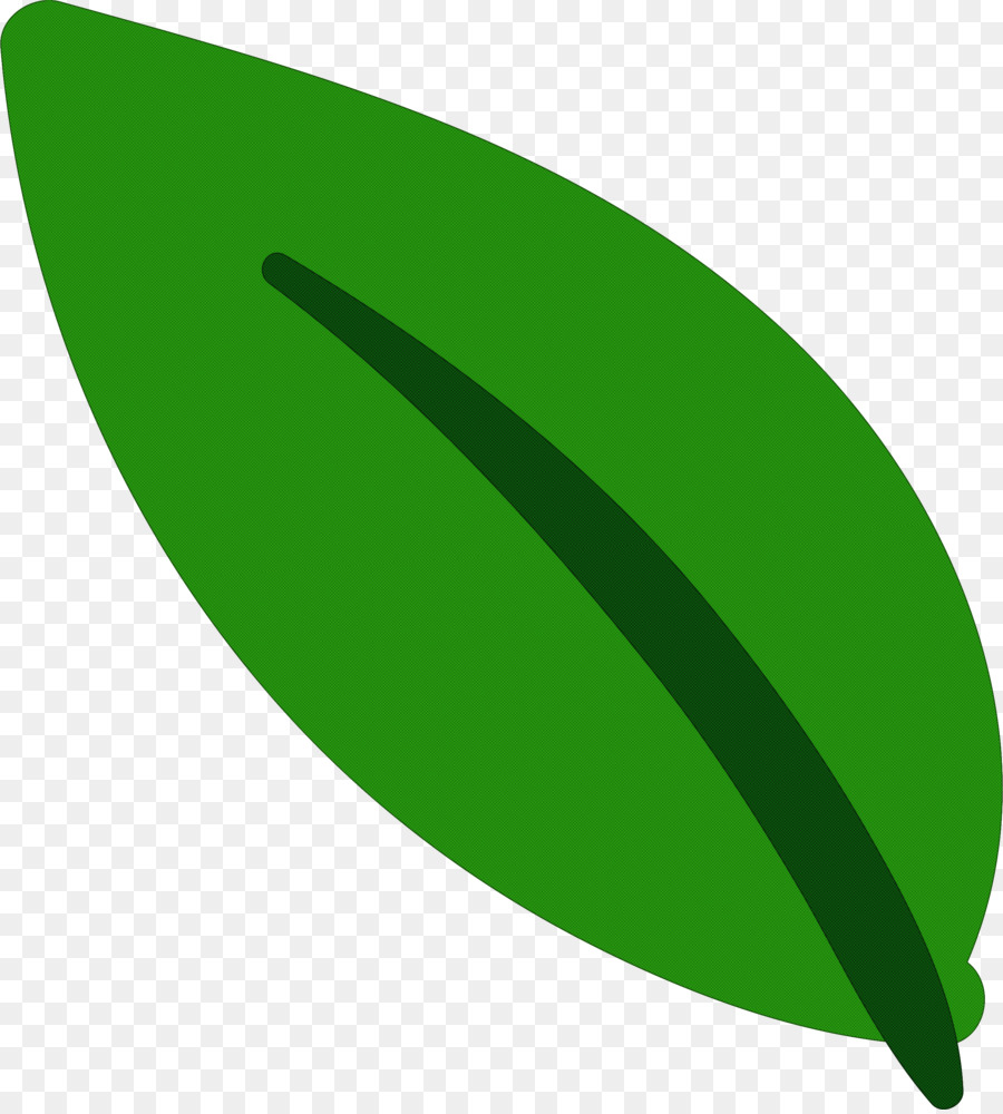 Folha Verde，Natureza PNG