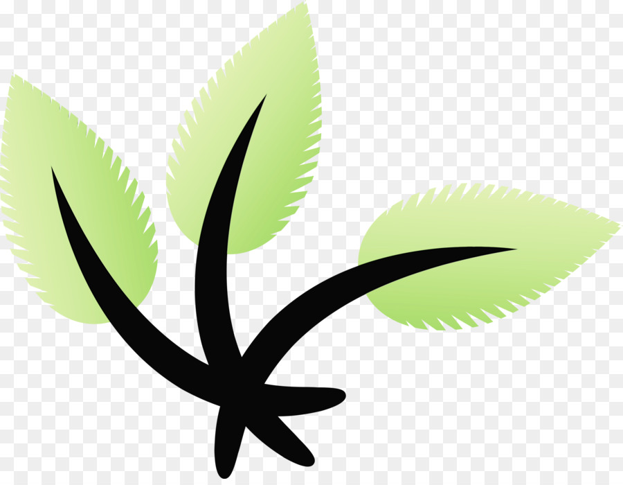 Folhas，Plantas PNG