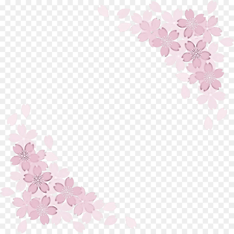 Sakura，Flor De Cerejeira PNG