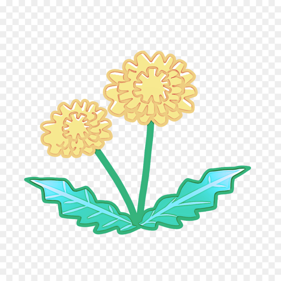 Flores De Dente De Leão，Flor PNG