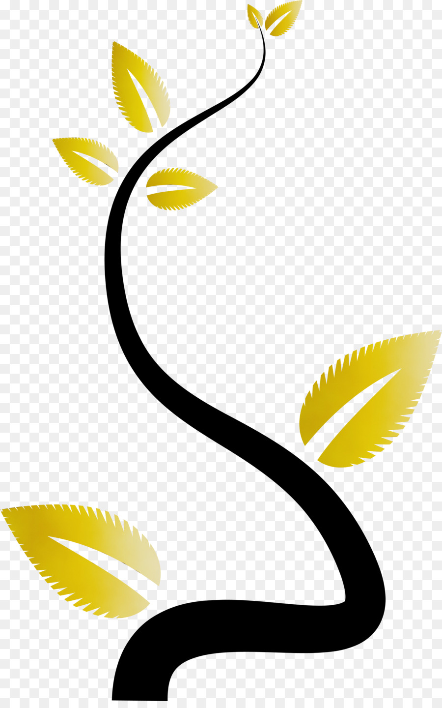 Planta De Haste，Folha PNG