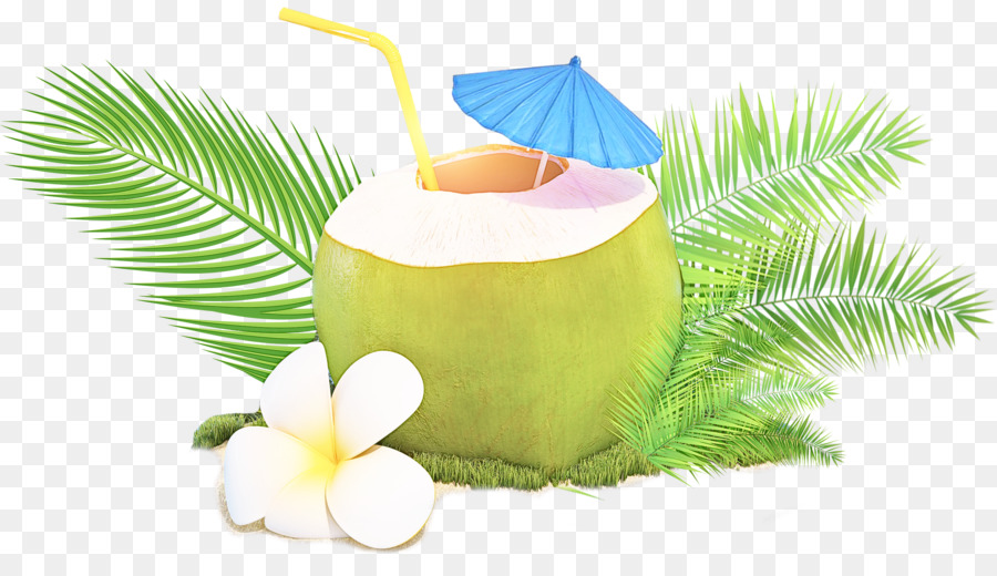 água De Coco，Coco PNG