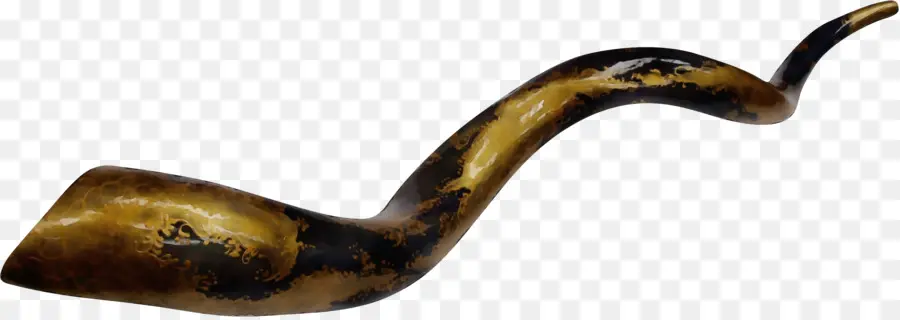 Shofar，Buzina PNG