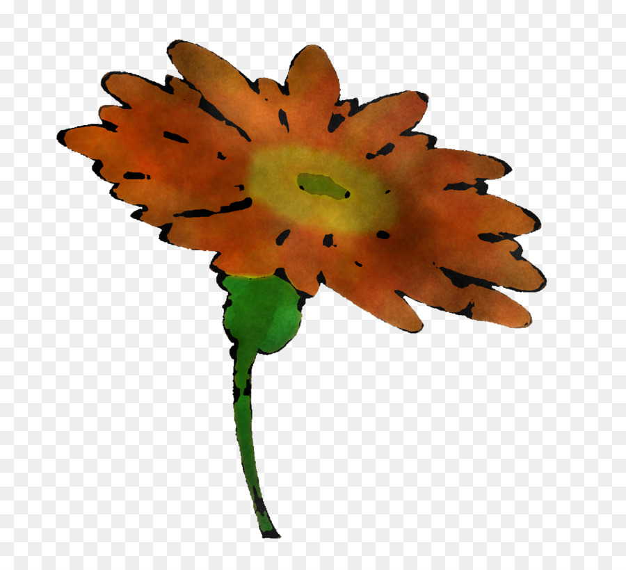 Folha，Flor PNG