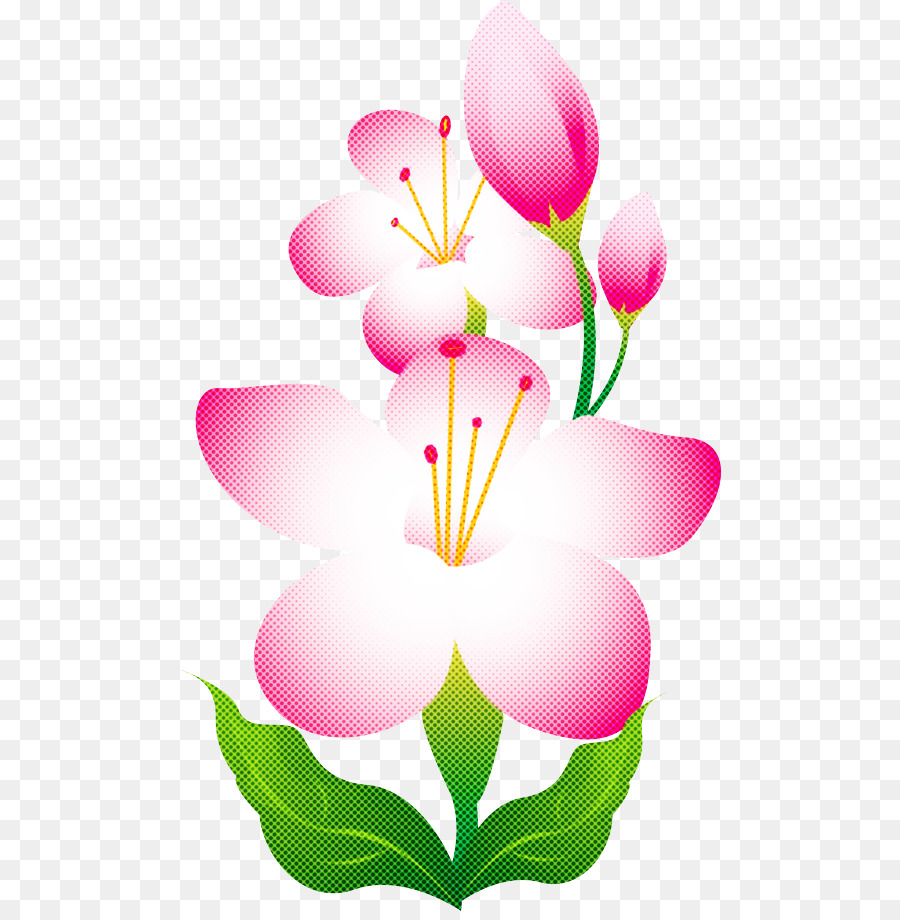 Flor Rosa，Florescer PNG