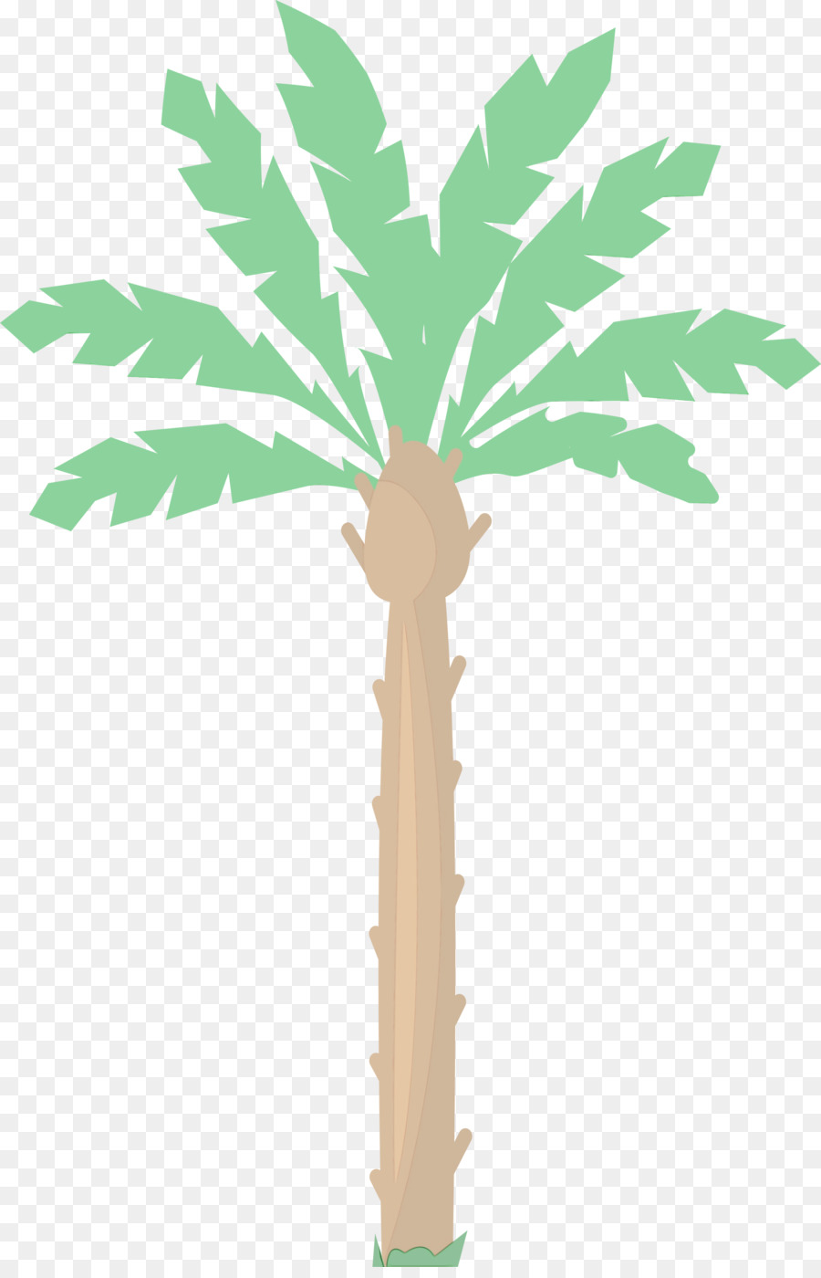 Asiática Palmyra Palma，Planta De Haste PNG