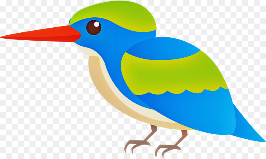 Aves，Pato PNG