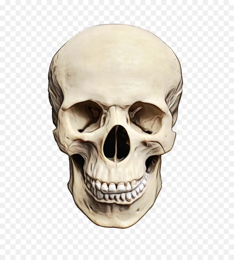Esqueleto， PNG