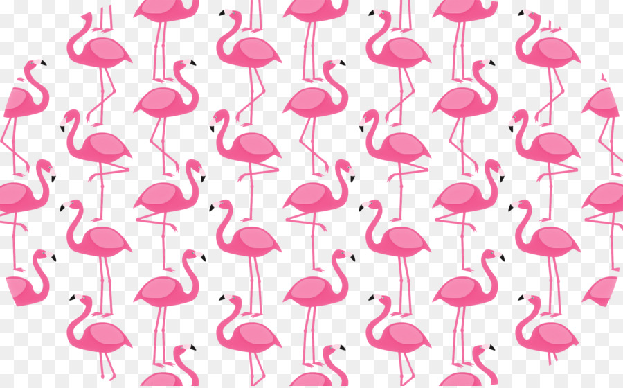 Flamingo，Flamingo De Plástico PNG