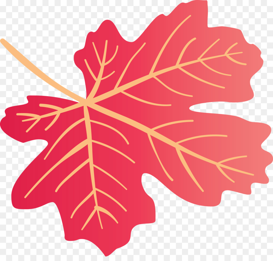 Maple Leaf Planta De Haste Folha Png Transparente Gr Tis