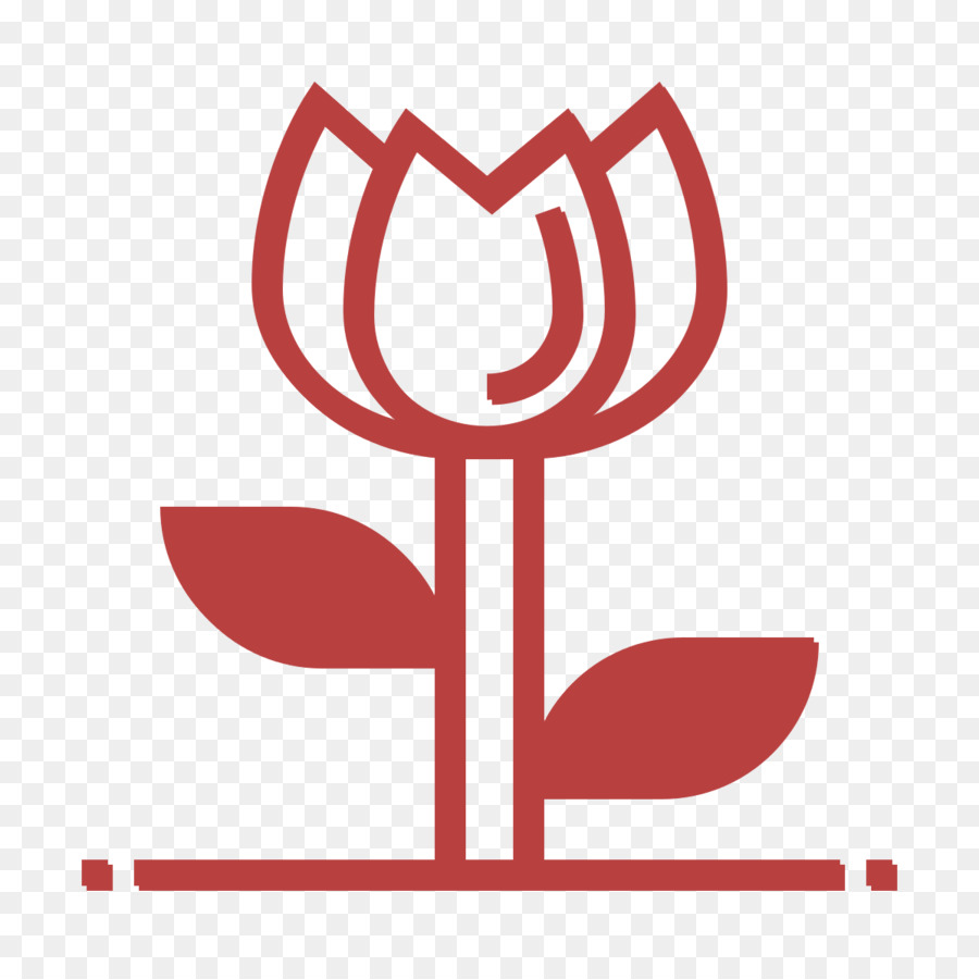 Flor Vermelha，Tulipa PNG