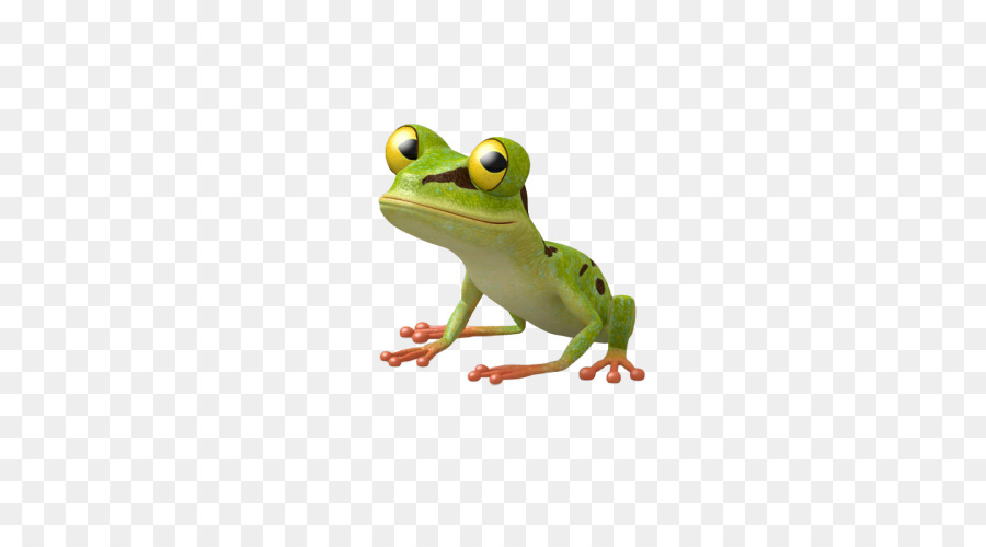 True Frog，Sapo PNG