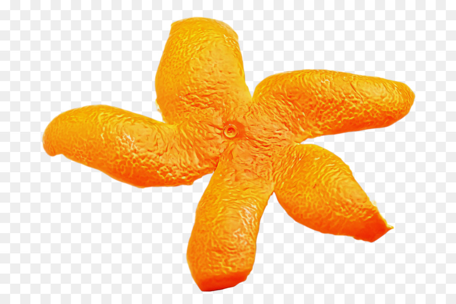 Laranja Sa，Clementine PNG