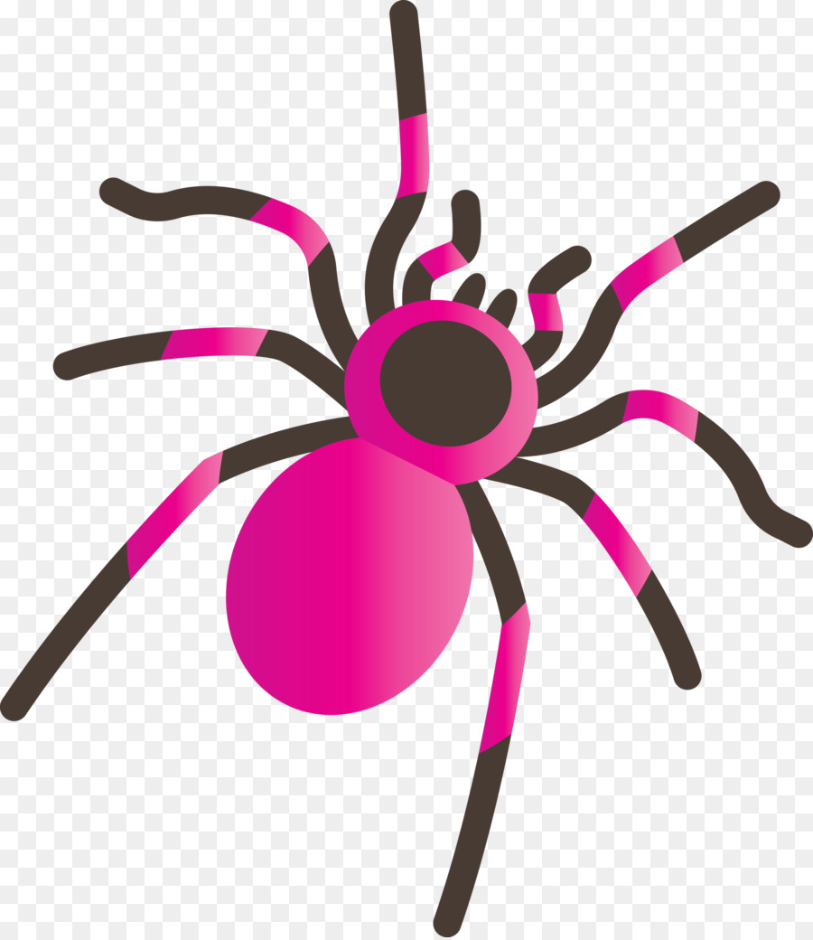 Aranha，Aracnídeo PNG