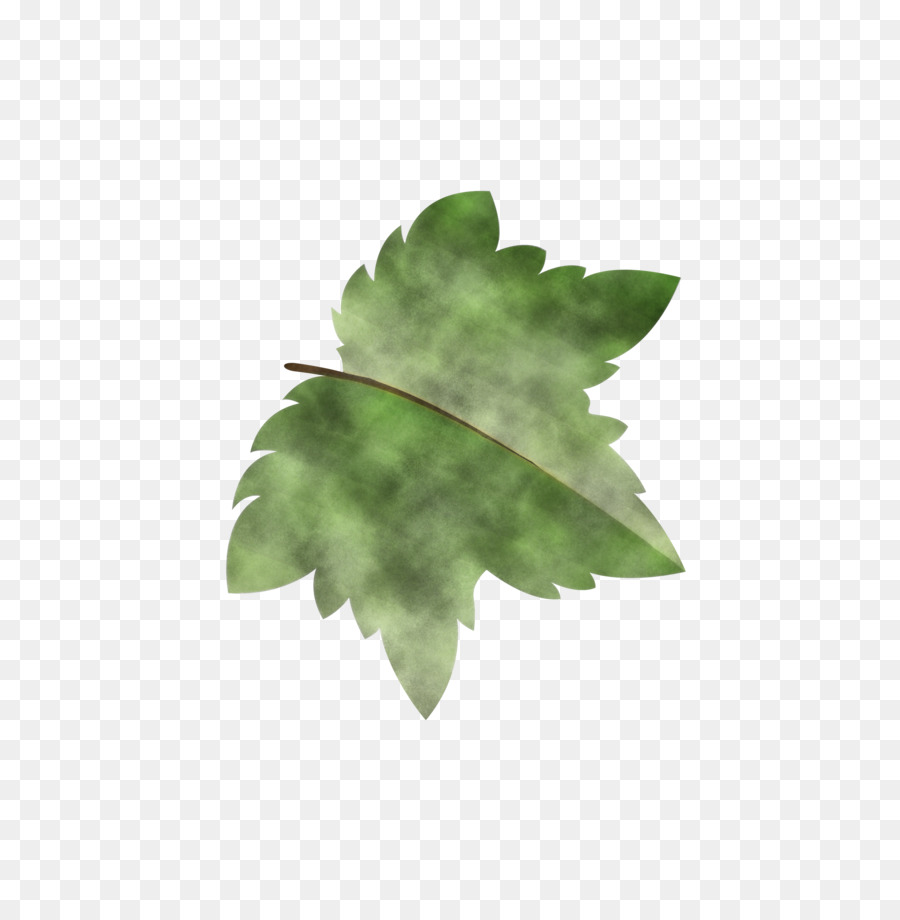 Folha，Red Maple PNG