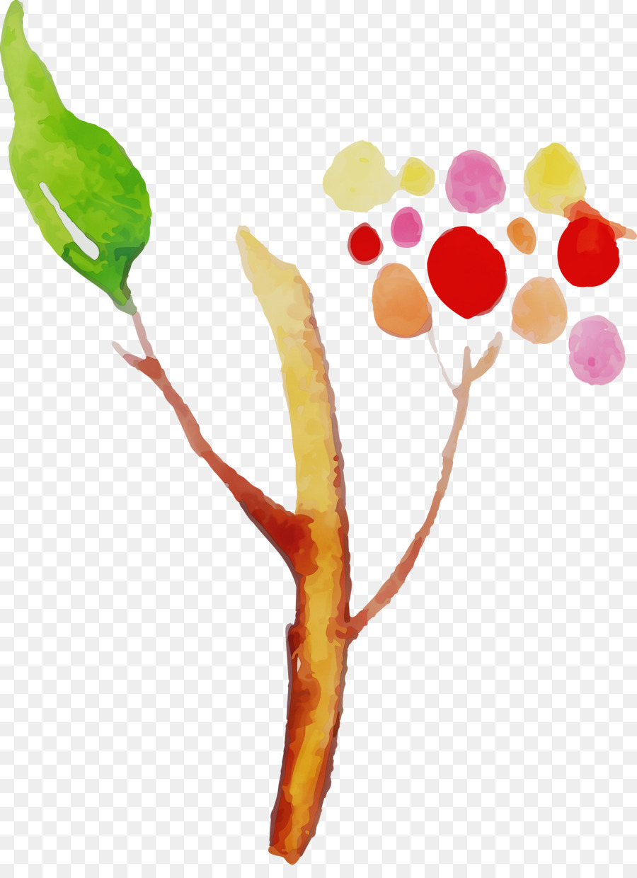 Vegetal，Frutas PNG