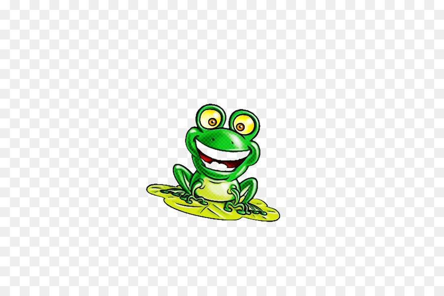 Verdadeiro Sapo，Tree Frog PNG