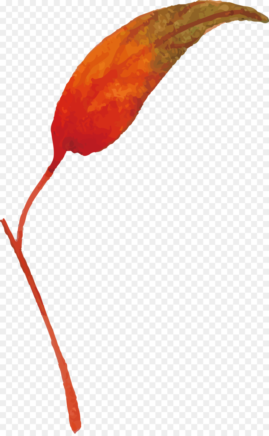 Planta De Haste，Folha PNG