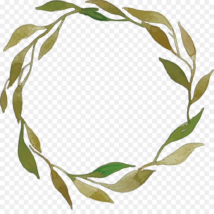 Coroa Verde，Círculo PNG