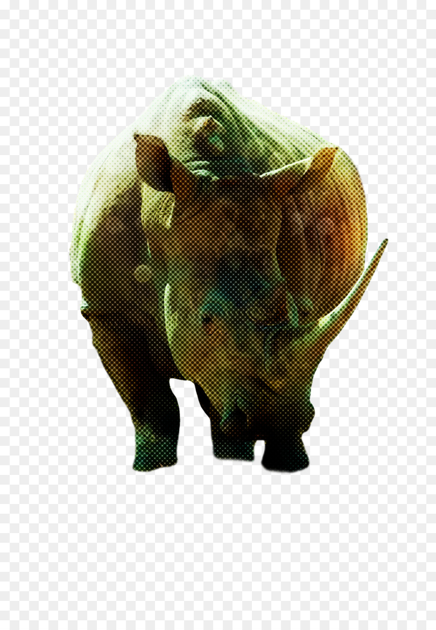 Focinho，Rinoceronte PNG