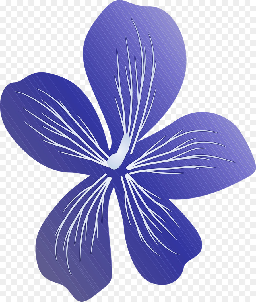 Flor，Violeta PNG