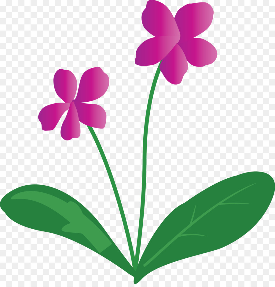 Flor，Roxo PNG