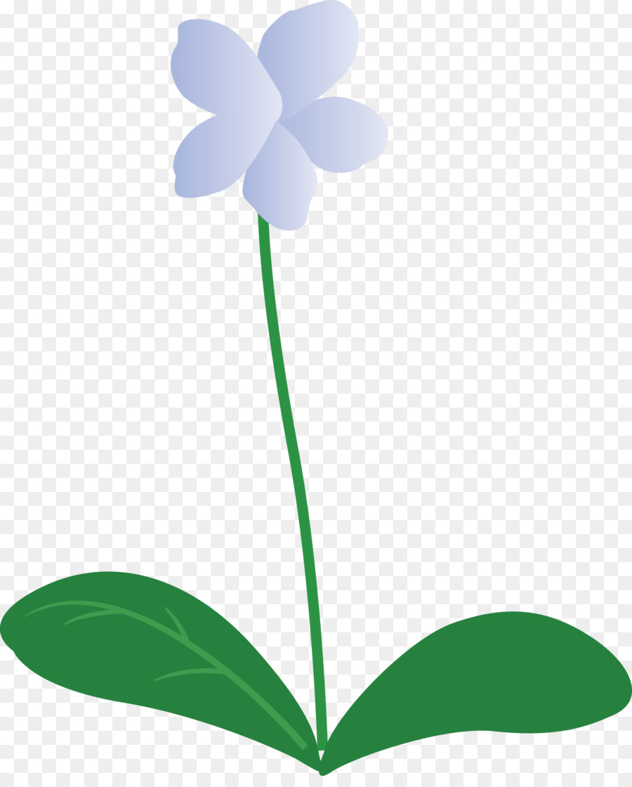 Flor，Plantar PNG