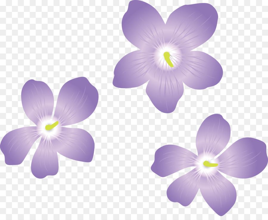 Flores Roxas，Florescer PNG