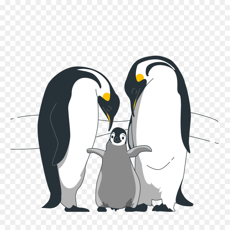 Pinguim Rei，Aves PNG