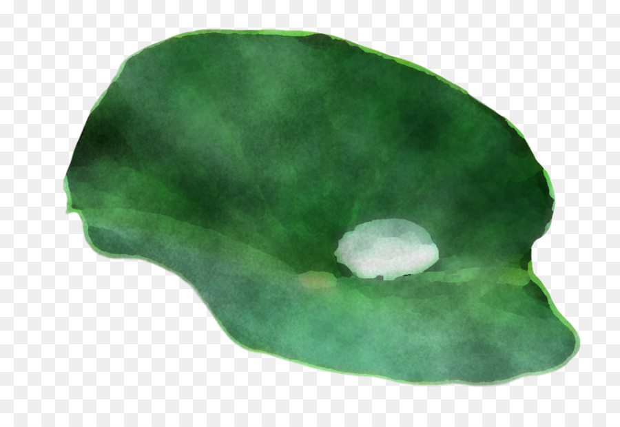 Folha，Plantas PNG