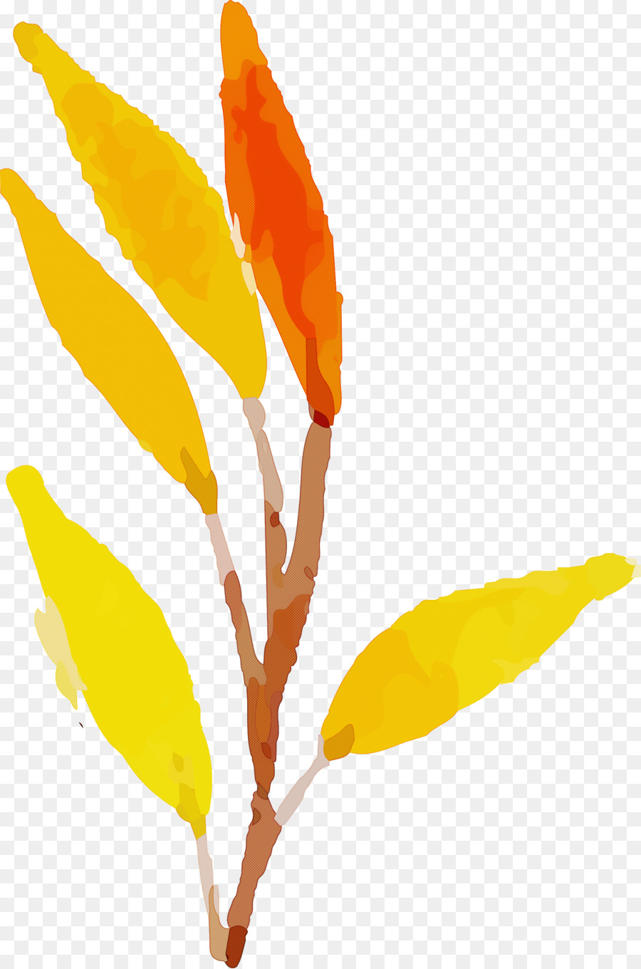 Folha Planta De Haste P Tala Png Transparente Gr Tis