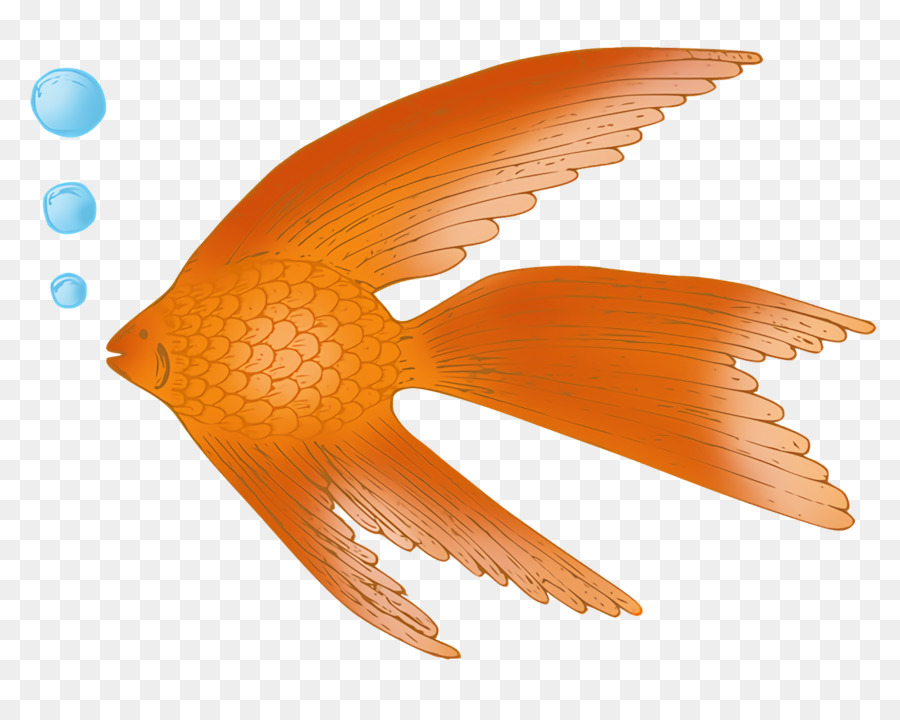 Peixe，Bico PNG