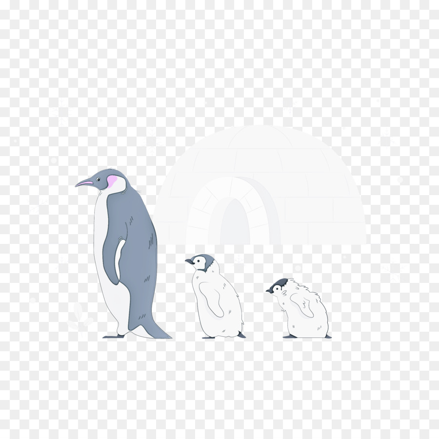 Pinguins，Aves PNG