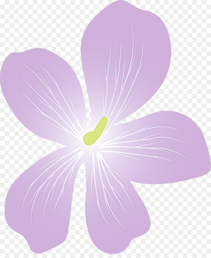 Flor Rosa，Florescer PNG