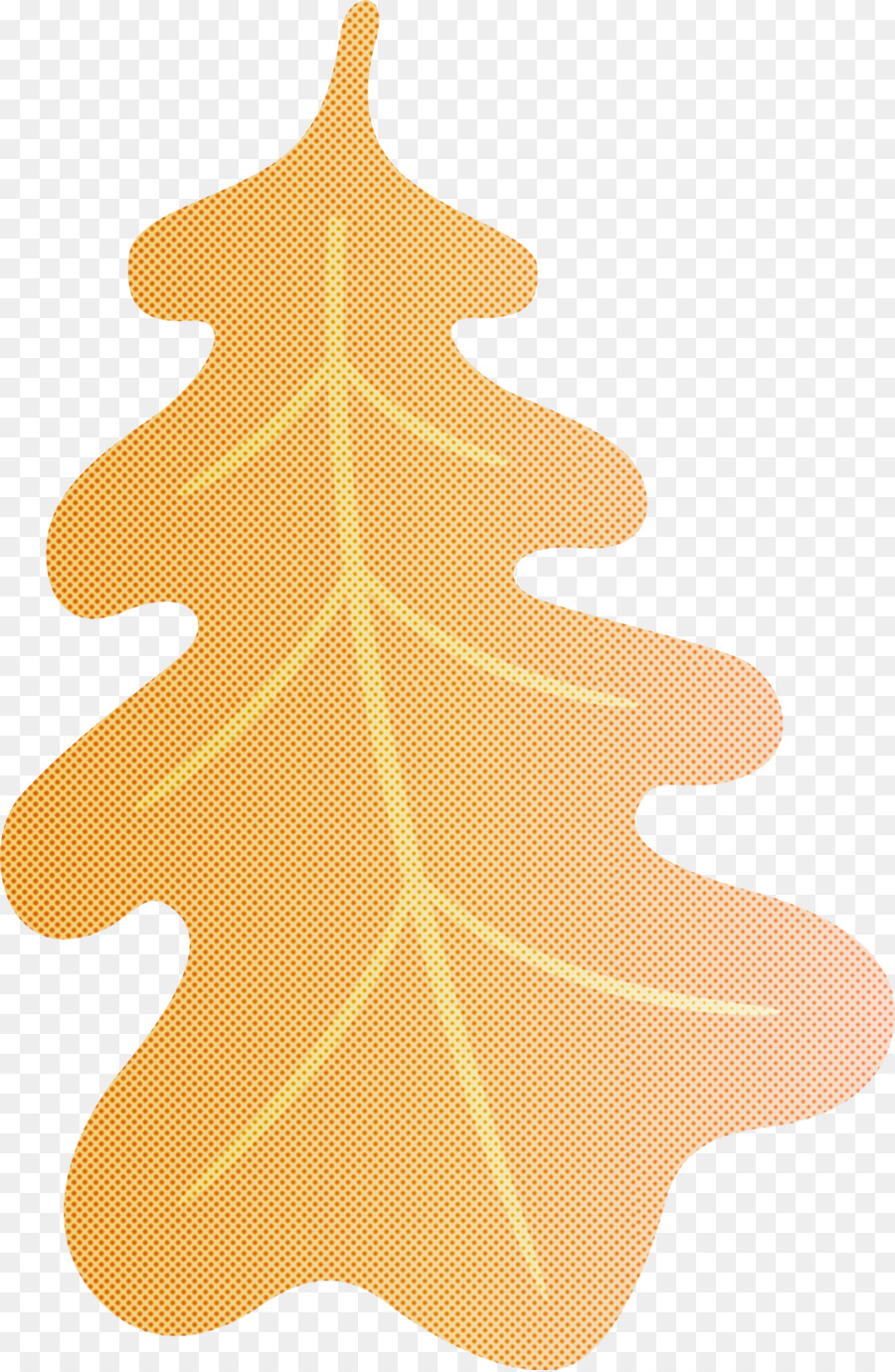 Christmas Day，Fir PNG