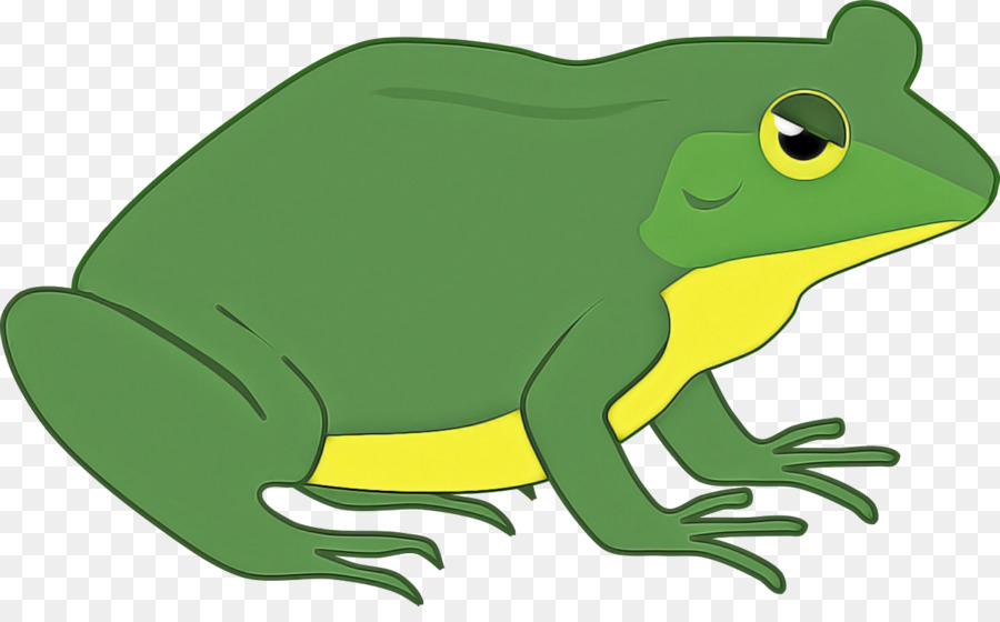 Amphibians，Verdadeiro Sapo PNG