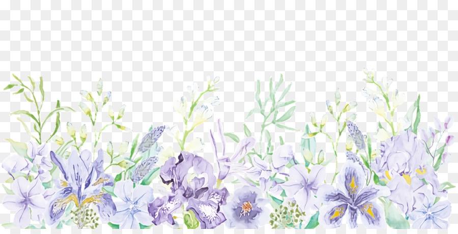 Inglês Lavanda，Flores De Corte PNG